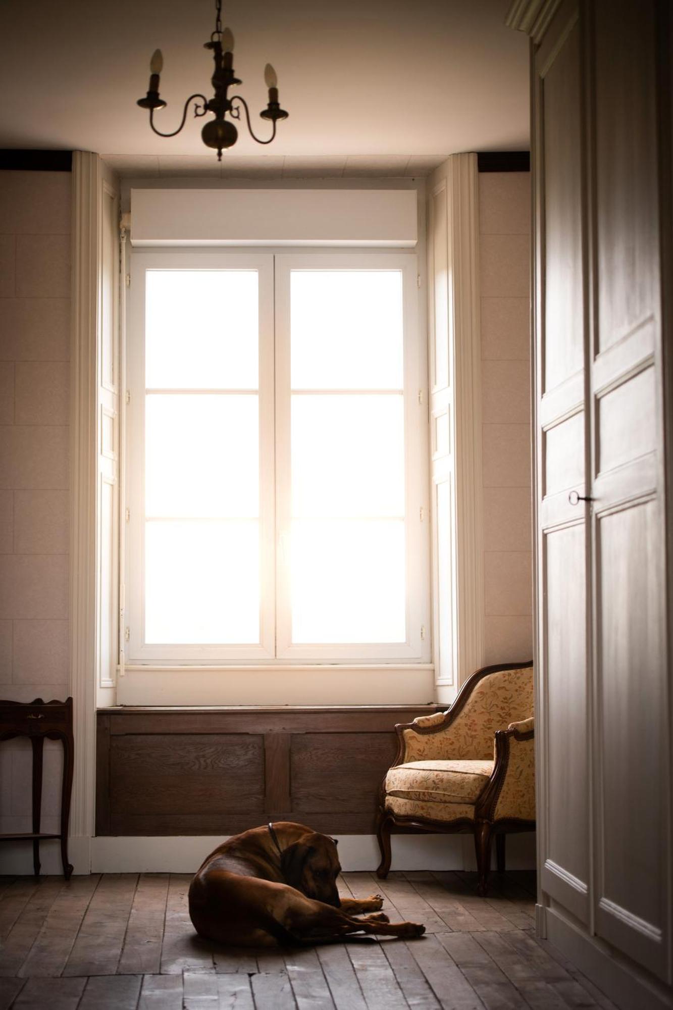 Domaine De La Briouse Bed & Breakfast Sanxay Bagian luar foto