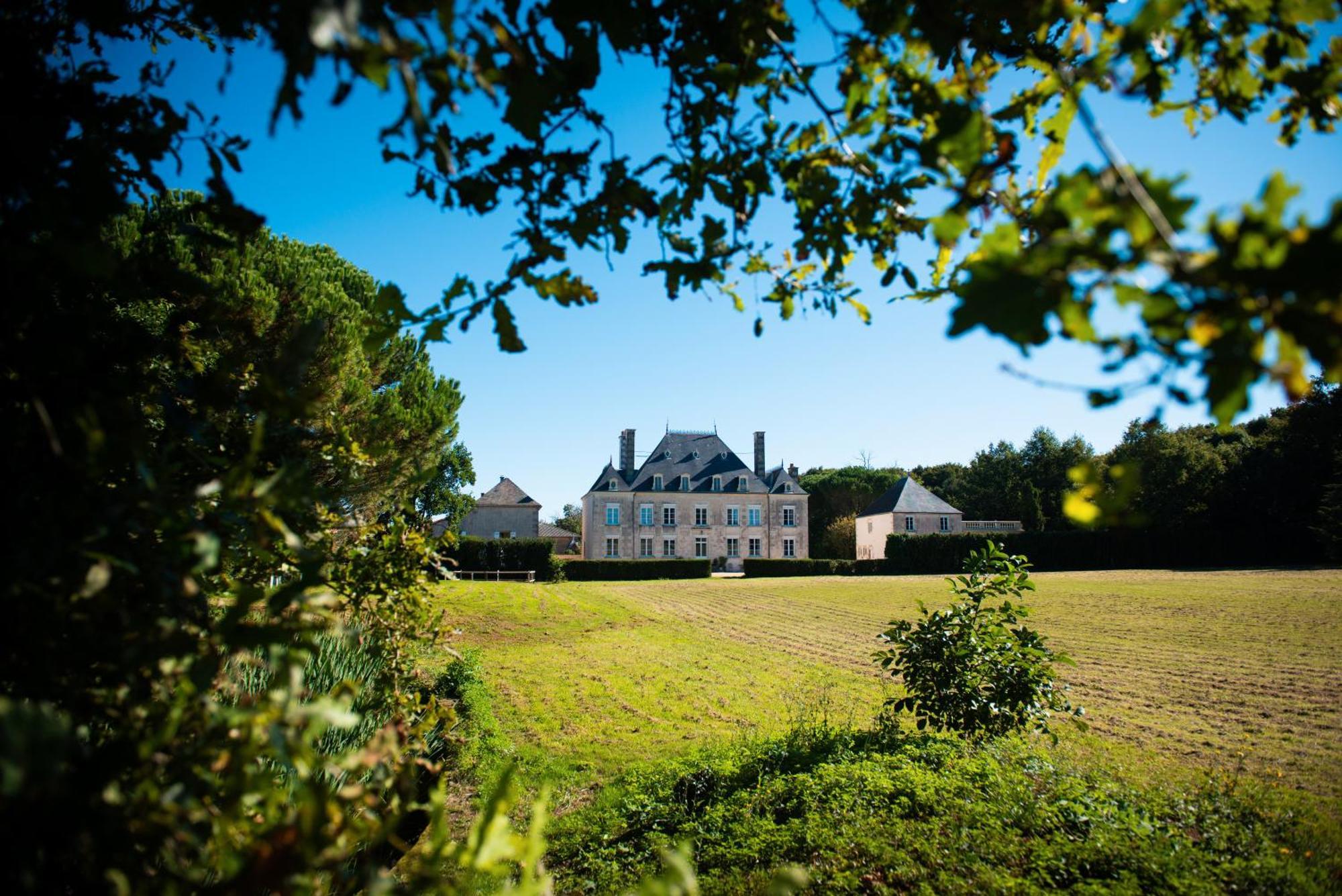 Domaine De La Briouse Bed & Breakfast Sanxay Bagian luar foto