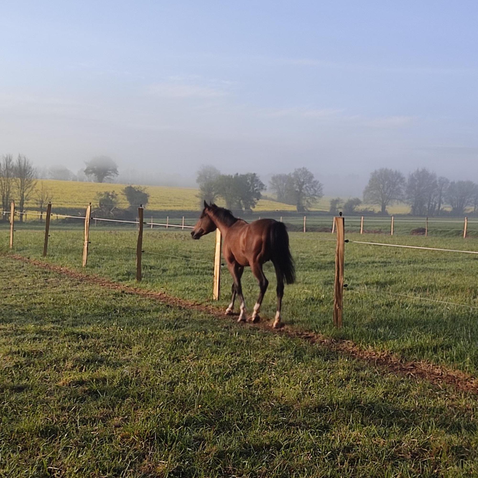 Domaine De La Briouse Bed & Breakfast Sanxay Bagian luar foto