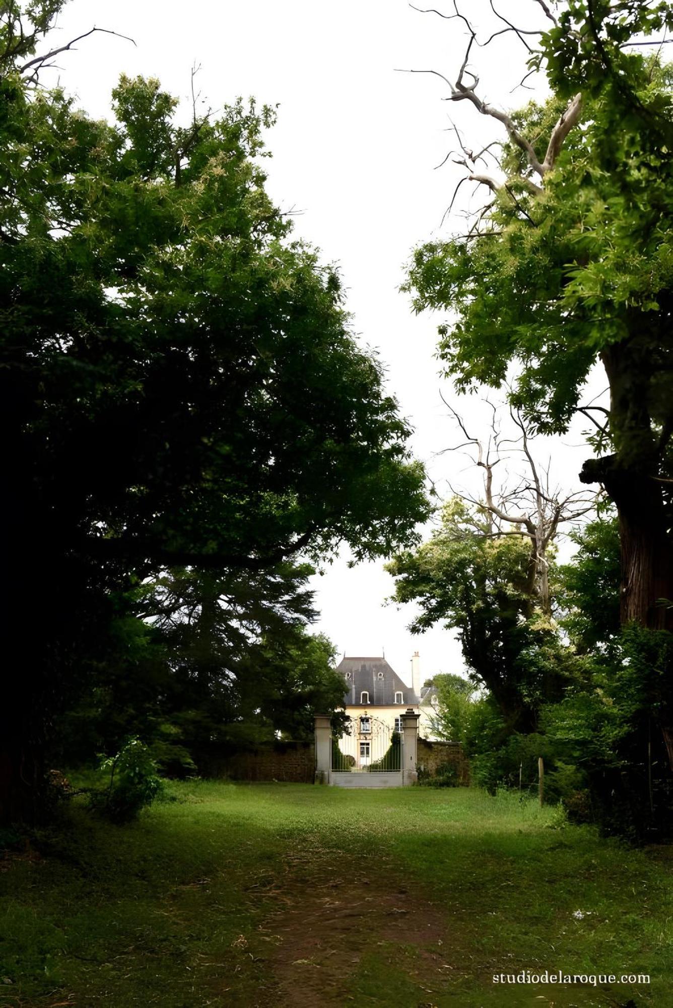 Domaine De La Briouse Bed & Breakfast Sanxay Bagian luar foto