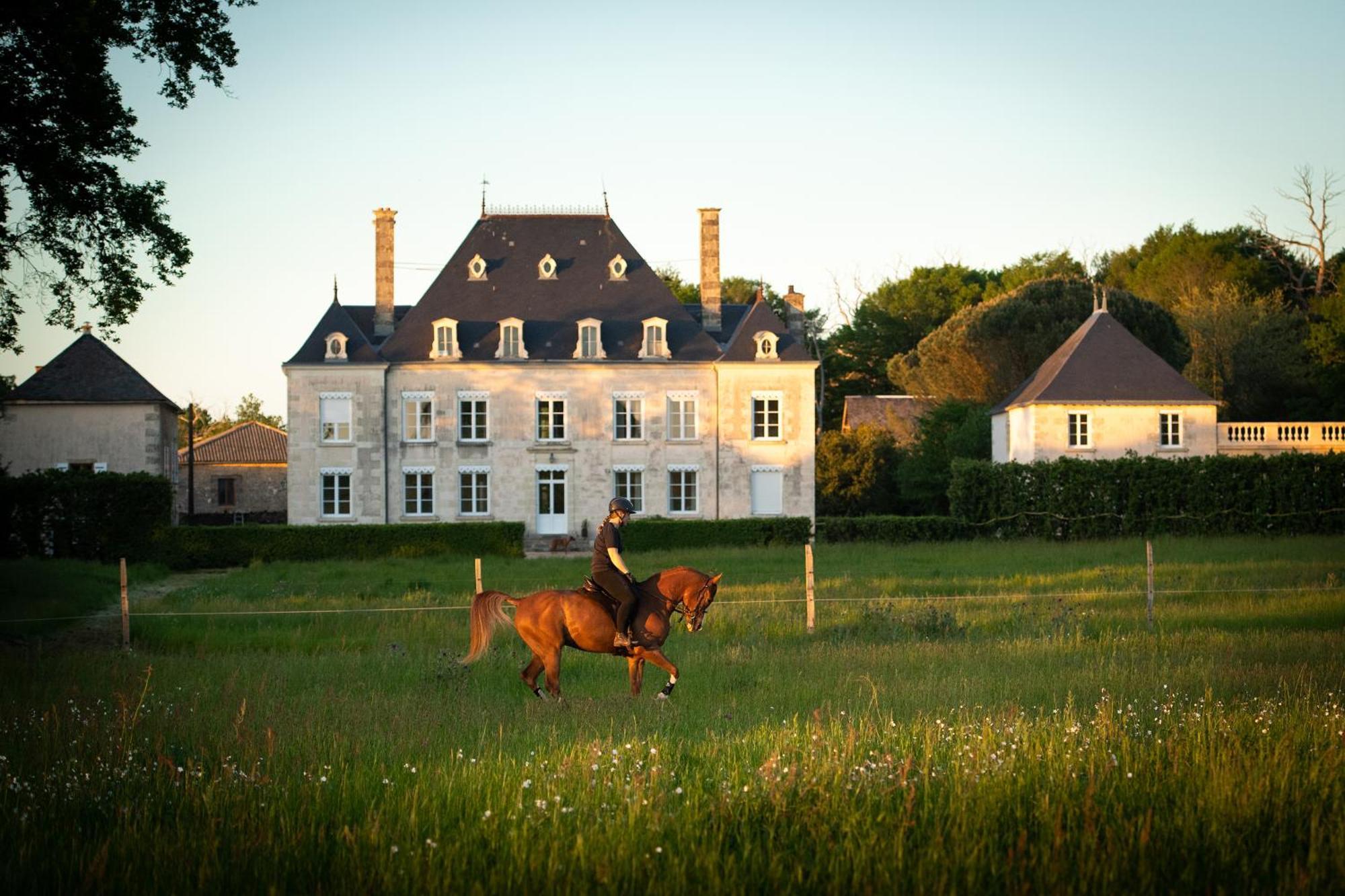 Domaine De La Briouse Bed & Breakfast Sanxay Bagian luar foto