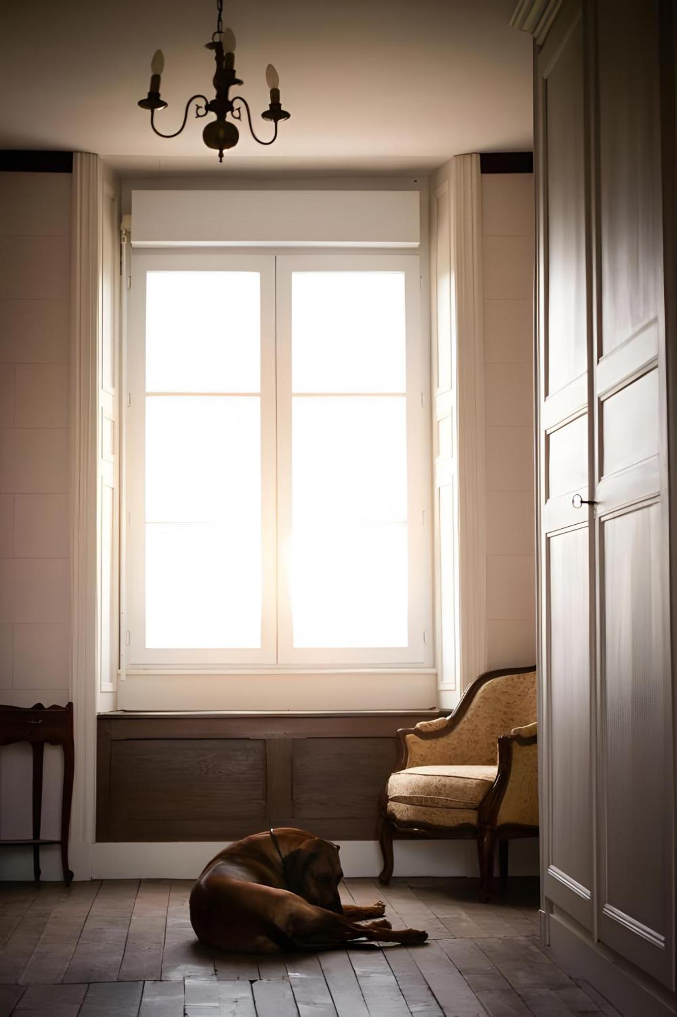 Domaine De La Briouse Bed & Breakfast Sanxay Bagian luar foto