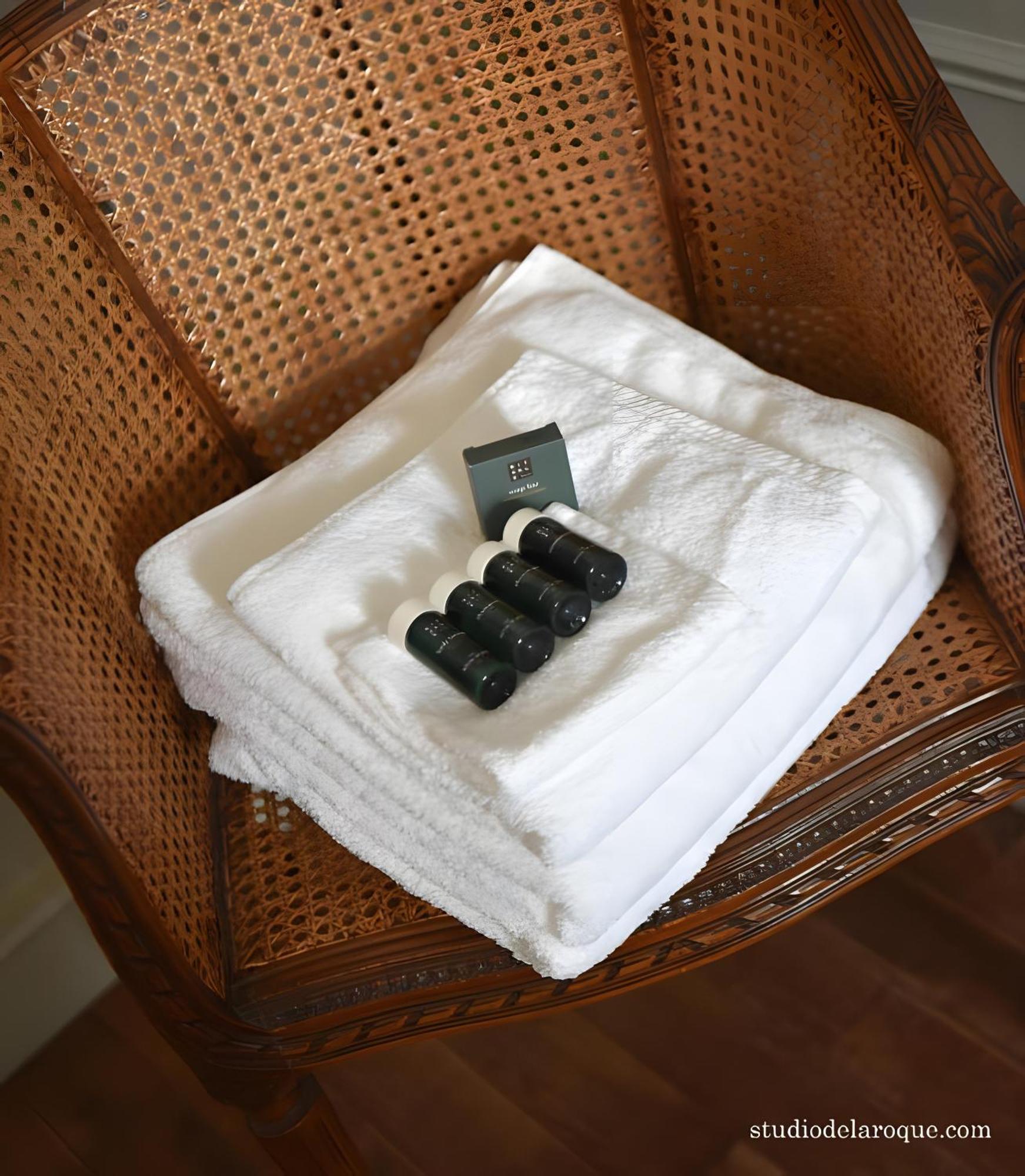 Domaine De La Briouse Bed & Breakfast Sanxay Bagian luar foto
